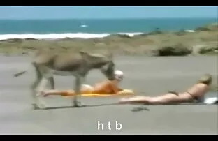 Sexy blonde corps parfait meilleur du porno gratuit puma montre chaque pouce de son corps impressionnant