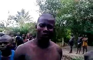 PROFESSIONNEL le meilleur du porn